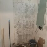 Démontage De L'intégralité Des Sanitaires Pour Réfection